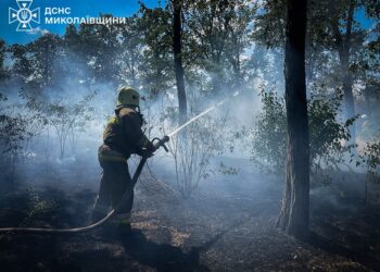 На Миколаївщині горять екосистеми