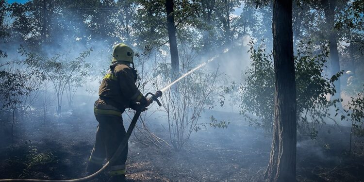 На Миколаївщині горять екосистеми