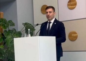 Лубінець назвав звернення до нього нардепів про перепризначення Кременя – тиском на інститут омбудсмена