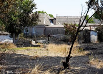 Пожежа сухостою в Сливине під Миколаєвом – вогонь йшов на будинки (ФОТО)