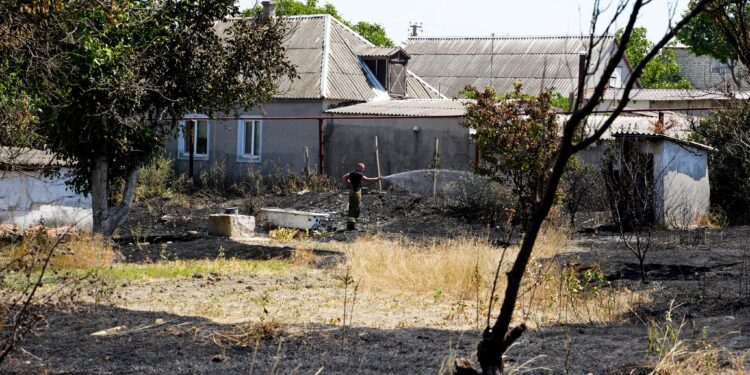 Пожежа сухостою в Сливине під Миколаєвом – вогонь йшов на будинки (ФОТО)