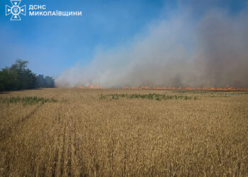 За вчора на Миколаївщині вигоріло понад 520 (!) га зернових на корені (ФОТО)