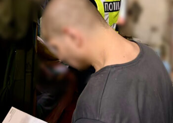 Продавали онлайн неіснуючі дрова: на Миколаївщині припинили «сімейний бізнес» шахраїв, який організував ув’язнений (ФОТО)