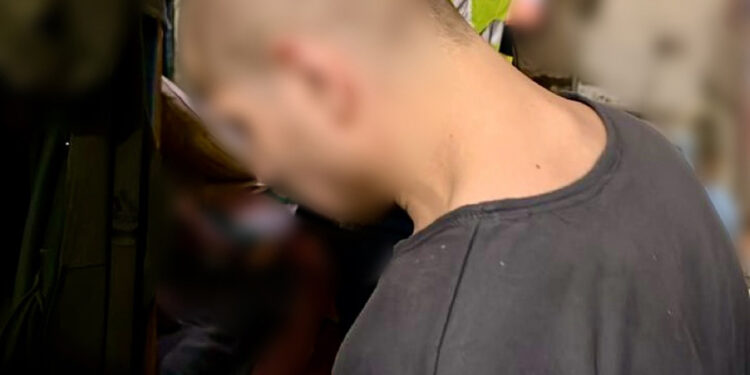 Продавали онлайн неіснуючі дрова: на Миколаївщині припинили «сімейний бізнес» шахраїв, який організував ув’язнений (ФОТО)