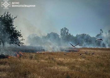 Миколаївщина у вогні. Дощі були не всюди, на відміну від пожеж