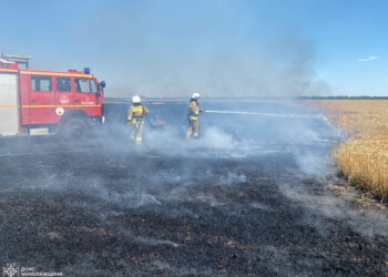 За добу на Миколаївщині вигоріло понад 80 га відкритись територій, з них 30 га – пшениці на корені (ФОТО)