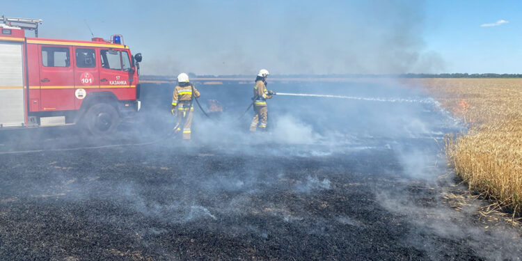 За добу на Миколаївщині вигоріло понад 80 га відкритись територій, з них 30 га – пшениці на корені (ФОТО)