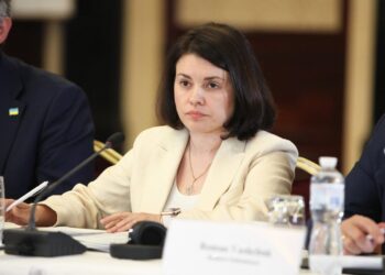 Леся Карнаух: ДПС нарахувала понад 221 млн грн штрафів за порушення під час продажу тютюнових виробів