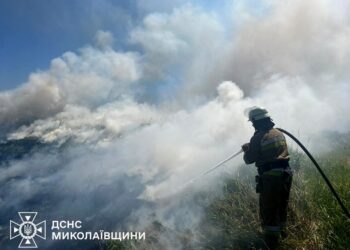 На Миколаївщині горіли поля, комбайн, гараж