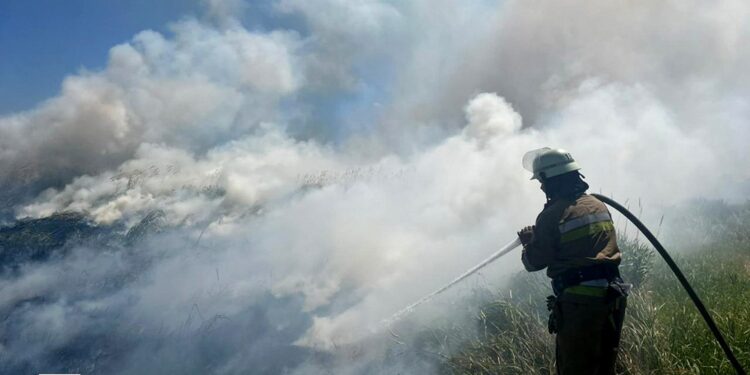 На Миколаївщині горіли поля, комбайн, гараж