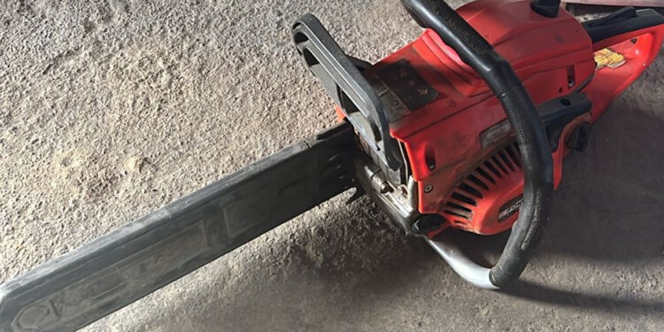 Завдали збитків довкіллю на майже 900 тис.грн.– на Миколаївщині поліцейські повідомили про підозру «чорним лісорубам» (ФОТО)