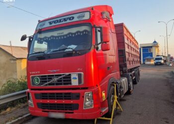 Посилений контроль за перевізниками на Миколаївщині та Одещині – Укртрансбезпека озвучила перші результати (ФОТО)