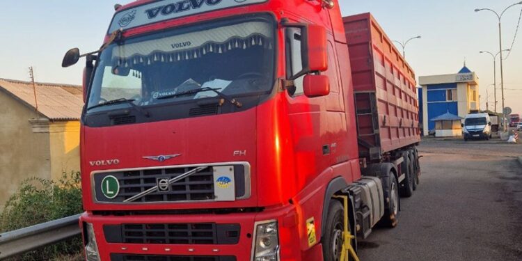 Посилений контроль за перевізниками на Миколаївщині та Одещині – Укртрансбезпека озвучила перші результати (ФОТО)