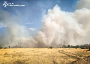 У Миколаєві локалізовано масштабну пожежу на відкритій території в Корабельному районі (ФОТО)
