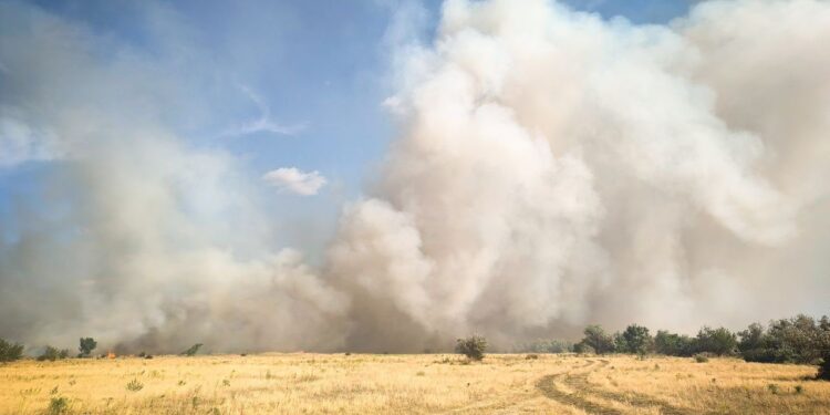 У Миколаєві локалізовано масштабну пожежу на відкритій території в Корабельному районі (ФОТО)