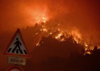 Туреччину охопили масштабні лісові пожежі (ФОТО, ВІДЕО)