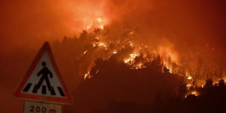 Туреччину охопили масштабні лісові пожежі (ФОТО, ВІДЕО)
