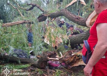 На Одещині дерево впало на намет – загинув підліток, ще 4 травмовані (ФОТО)