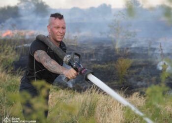Знову на Миколаївщині вогонь нищить майбутній врожай – протягом доби вигоріло 33 га (ФОТО)