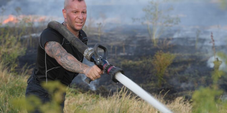 Знову на Миколаївщині вогонь нищить майбутній врожай – протягом доби вигоріло 33 га (ФОТО)