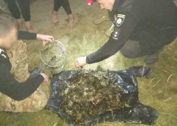 На Миколаївщині впіймали браконьєра, який незаконним виловом раків наніс збитків на майже 830 тис.грн. (ФОТО)