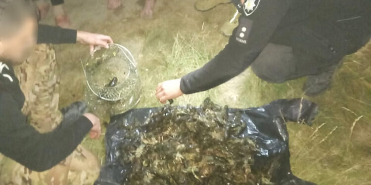 На Миколаївщині впіймали браконьєра, який незаконним виловом раків наніс збитків на майже 830 тис.грн. (ФОТО)