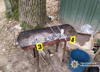 На Черкащині жінка вбила чоловіка – заколола шампуром (ФОТО)