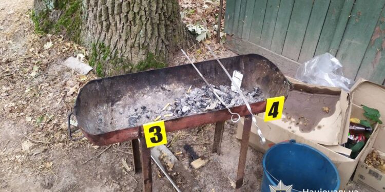 На Черкащині жінка вбила чоловіка – заколола шампуром (ФОТО)