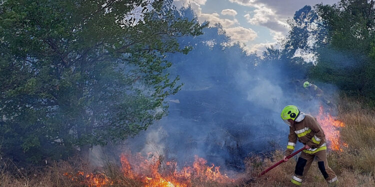 З 44-х пожеж за добу на Миколаївщині дві були через російські обстріли (ФОТО)