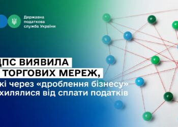 Леся Карнаух: ДПС виявила 7 торгових мереж, які через «дроблення бізнесу» ухилялися від сплати податків