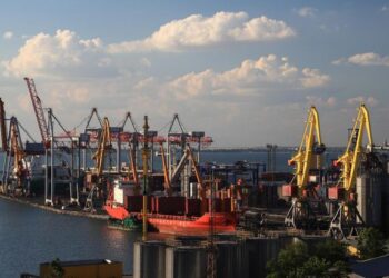 Американці відсудили зерновий термінал в Одесі. Як це їм вдалося, і що це означає