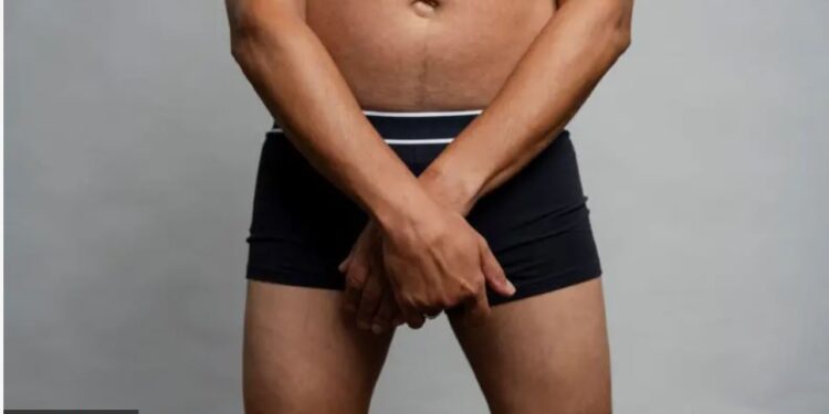 Розмір має значення? Є частини тіла, розмір яких еволюція не може пояснити