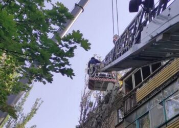 У Миколаєві через вітер падають дерева. Куди повідомляти, якщо що (ФОТО)