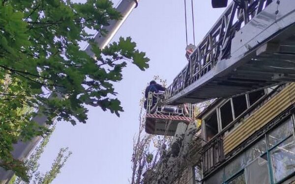 У Миколаєві через вітер падають дерева. Куди повідомляти, якщо що (ФОТО)