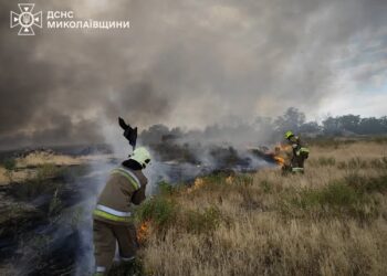 Поблизу Миколаєва – масштабна пожежа: горять сухостій та сміття в районі Мішково-Погорілівської громади (ФОТО)
