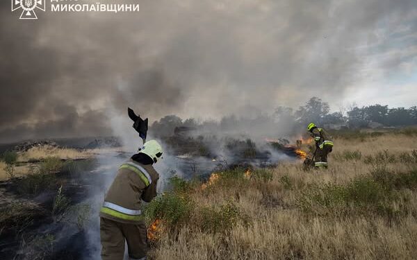 Поблизу Миколаєва – масштабна пожежа: горять сухостій та сміття в районі Мішково-Погорілівської громади (ФОТО)