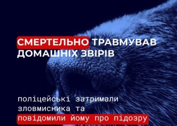 На Миколаївщині п’яний 29-річний нелюдь зарізав власного собаку та кота матері
