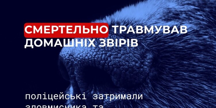На Миколаївщині п’яний 29-річний нелюдь зарізав власного собаку та кота матері