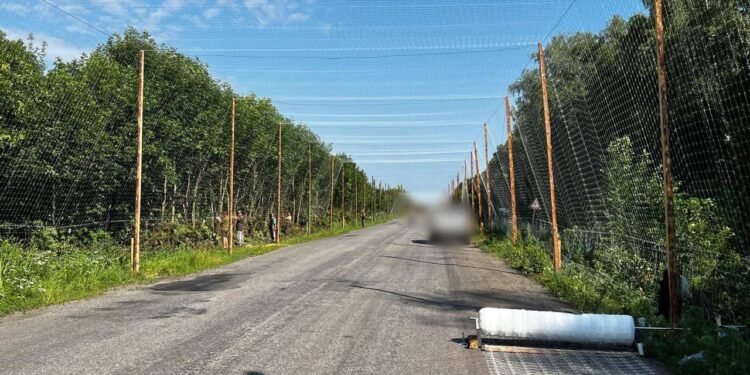 На Сумщині будують “антидронові тунелі” для захисту військових і цивільних (ФОТО)