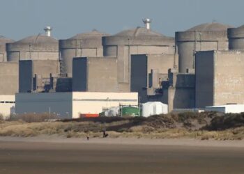 Нашестя медуз «вимкнуло» найбільшу в Західній Європі АЕС