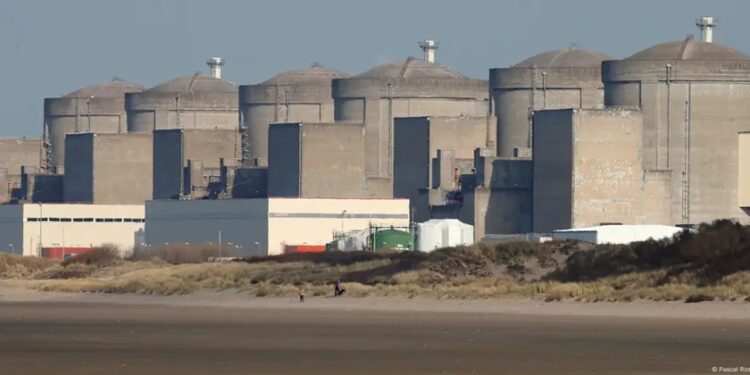 Нашестя медуз «вимкнуло» найбільшу в Західній Європі АЕС