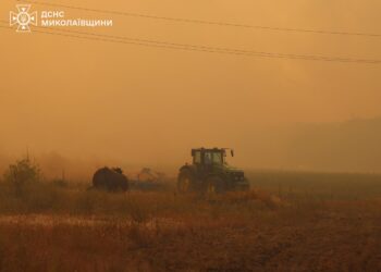 Пожежу в Андріївському лісовому урочищі локалізували на площі в 40 га
