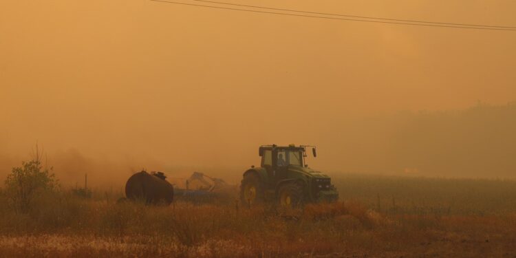 Пожежу в Андріївському лісовому урочищі локалізували на площі в 40 га