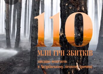 Збитки від пожежі в Андріївському лісовому урочищі на Миколаївщині – понад 110 млн грн
