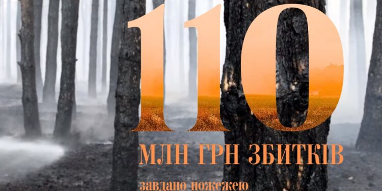 Збитки від пожежі в Андріївському лісовому урочищі на Миколаївщині – понад 110 млн грн