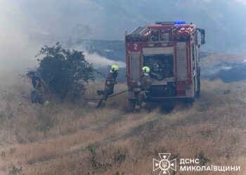 На Миколаївщині горить Новопетрівське лісове урочище (ФОТО)