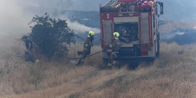 На Миколаївщині горить Новопетрівське лісове урочище (ФОТО)