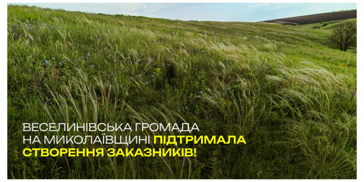 Веселинівська громада Миколаївщини підтримала створення нових заказників, де ростуть 13 видів рослин з Червоної книги України