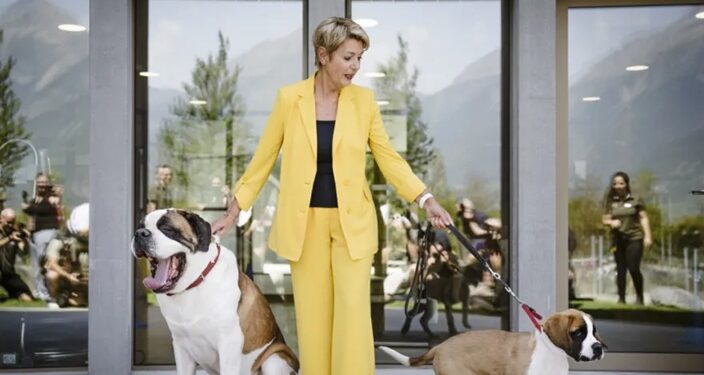 У Швейцарії відкрився парк, присвячений сенбернарам