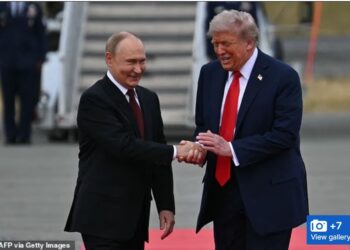 Що розповіла експертка з мови тіла про зустріч Трампа і Путіна (ФОТО, ВІДЕО)